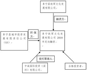 阜宁铁军文化2018年定融