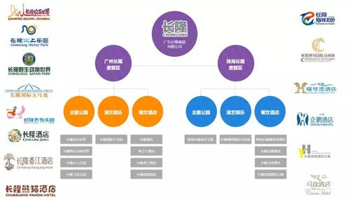 正略咨询 国有旅游综合集团公司品牌发展战略 如何实施品牌战略